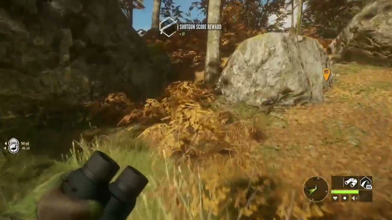 diamond goose with the Zarza-15 22lr cotw