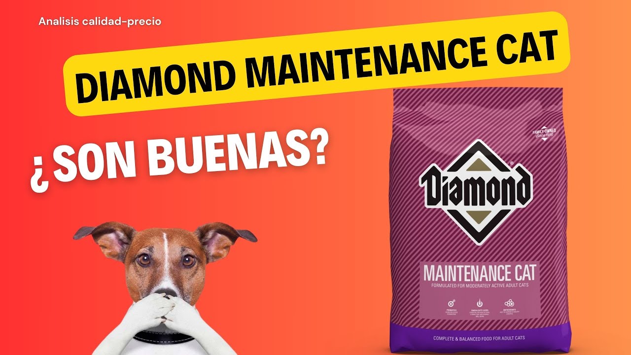 Análisis de alimento para Gato: Diamond Maintenance Cat