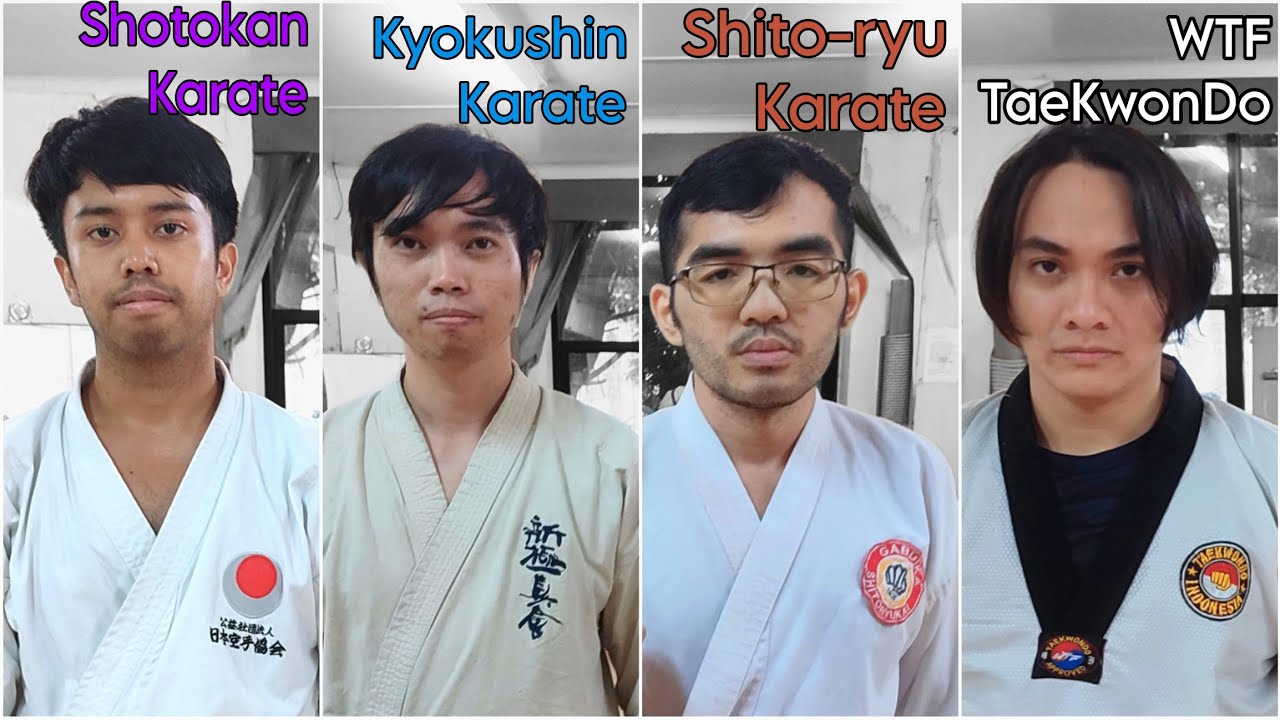 Shotokan Karate vs Kyokushin Karate vs Shito-ryu Karate vs TaeKwonDo | Ultimate Friendship Sparring