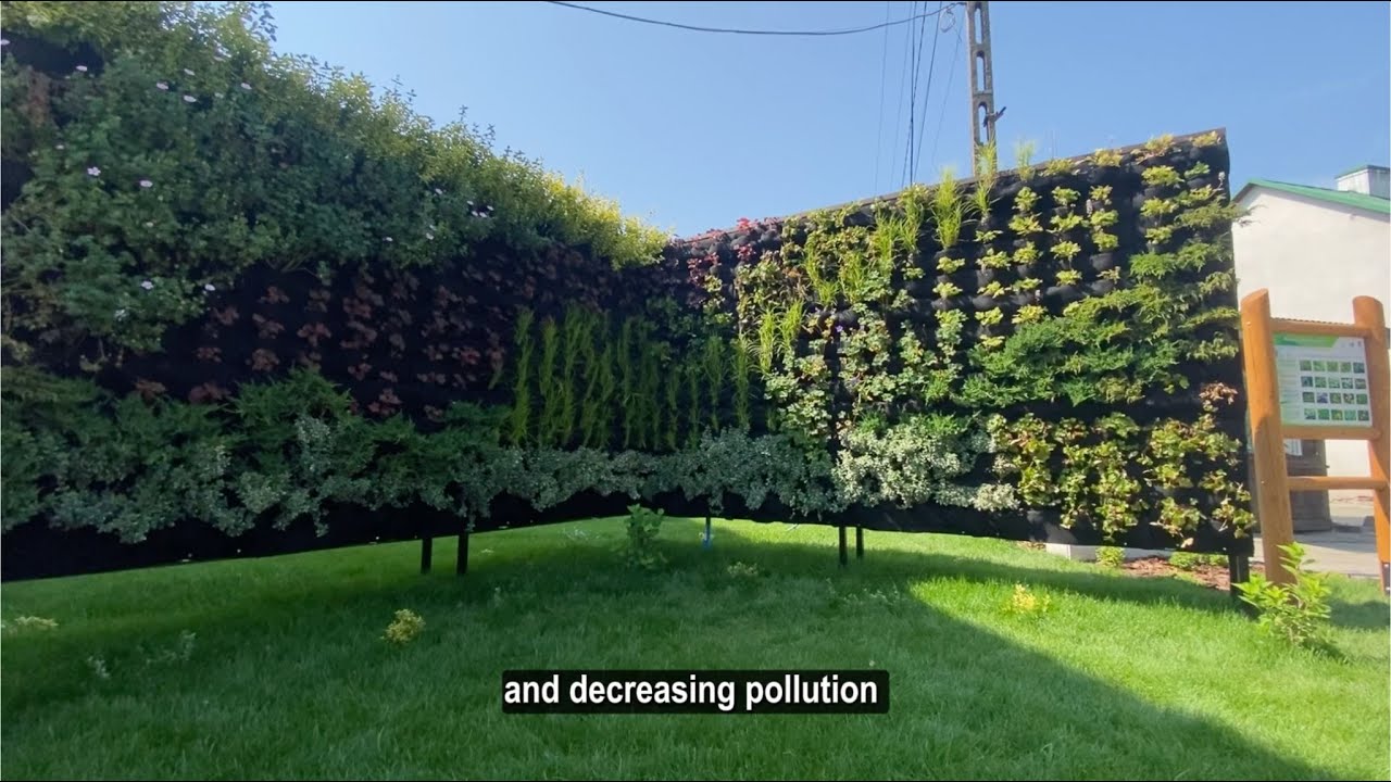Interview with the creators of a DIY vertical garden using Vertical Planter PlantaUp panels