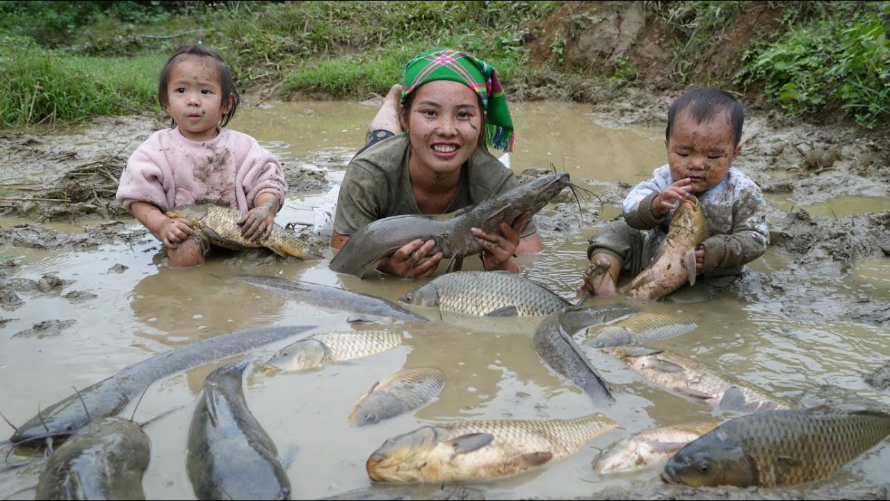 Catch fish with your children - trap giant pond fish to sell at the market
