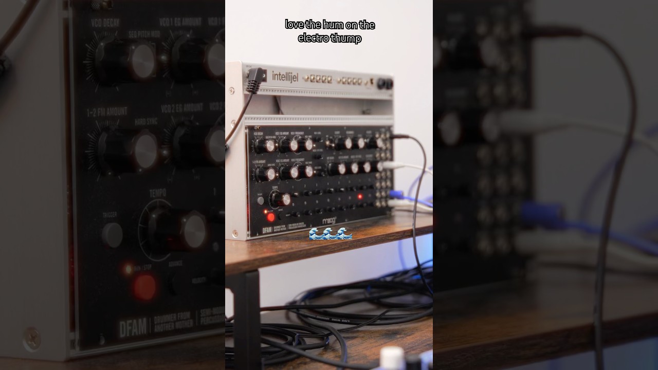 Moog DFAM &ldquo;Electro Thump&rdquo; Preset | Warm Analog Club Texture #dfam #fieldrecordings