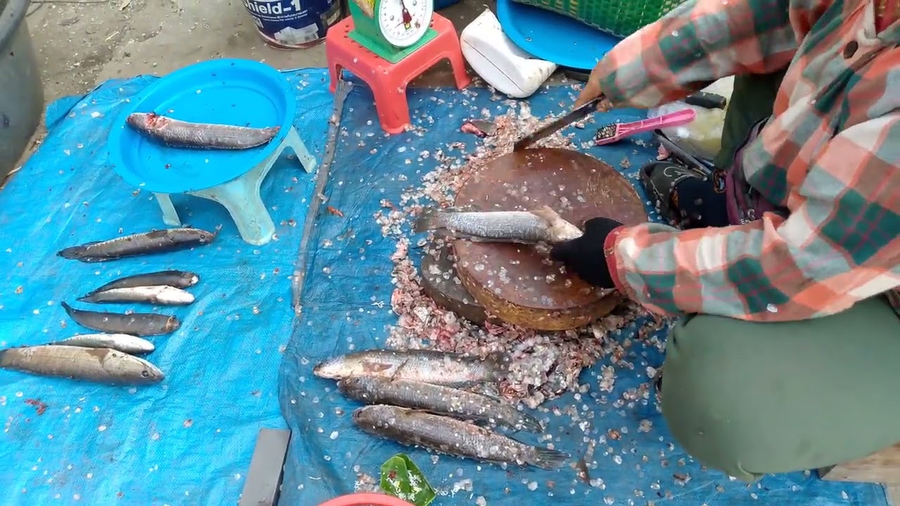 Amazing! fish cutting and cleaning well, 3kg, Noria Market, Battambang City