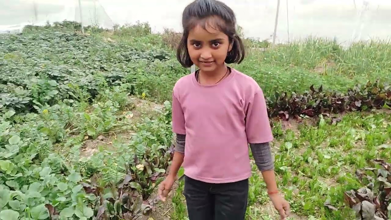 Kichan garden achha lage toplz subscribe kre
