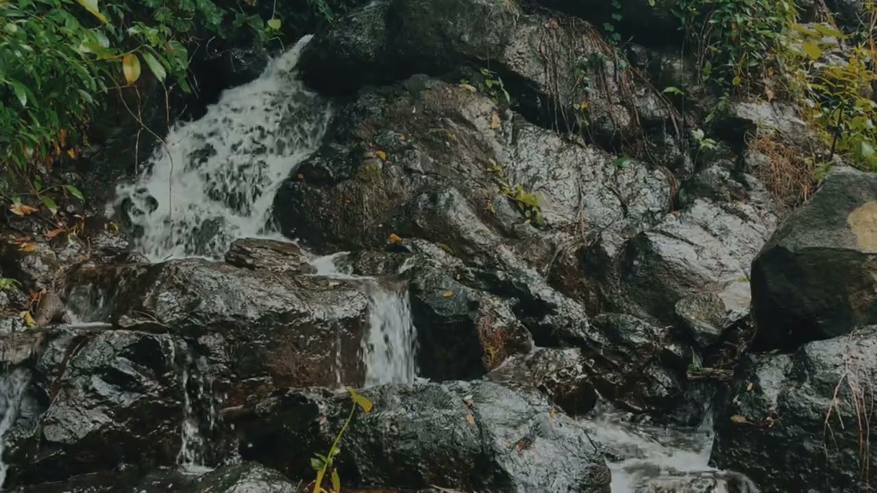Gentle River Flow Over Rocks | Relaxing Nature Sounds for Sleep | Study Ambience | 1 Hour Relaxation