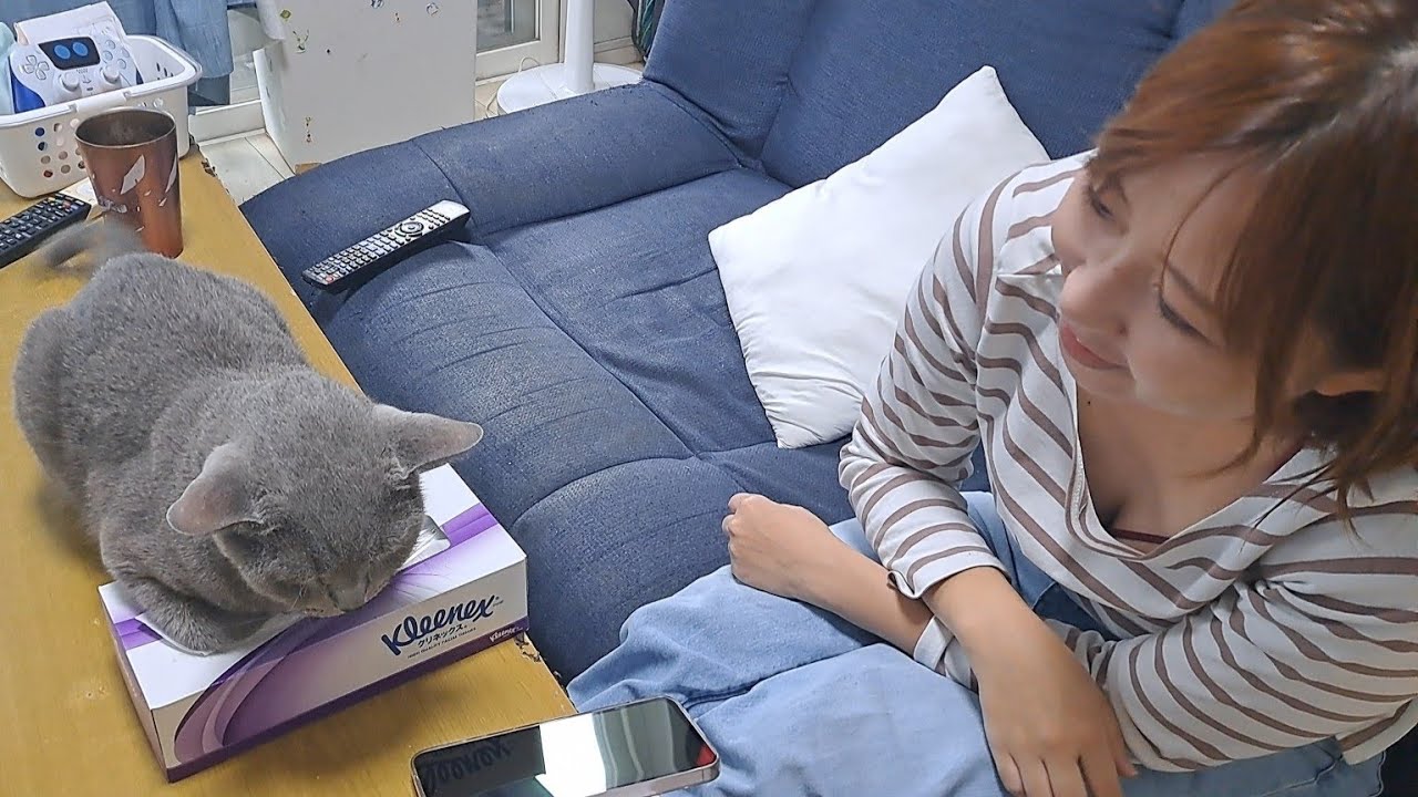 ママの前でティッシュ潰すところ
