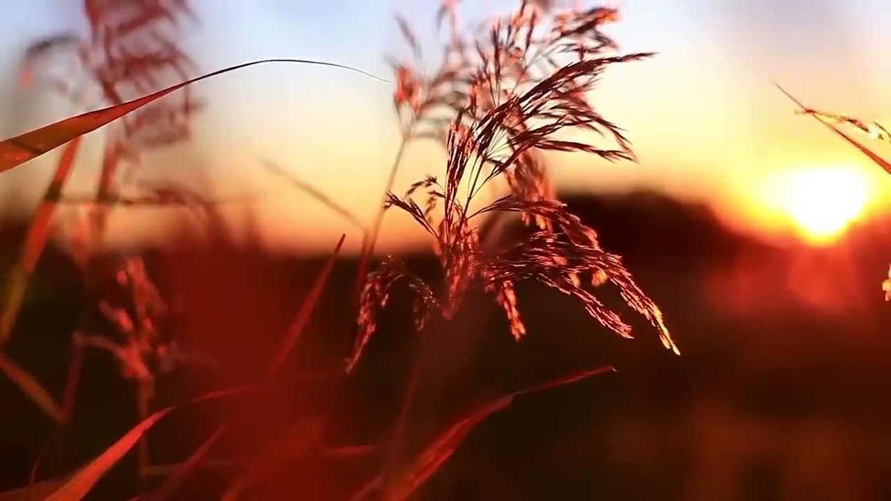Hymne an die Heilige Mutter Gottes, vorgetragen von den Schwestern des Klosters St. Elisabeth