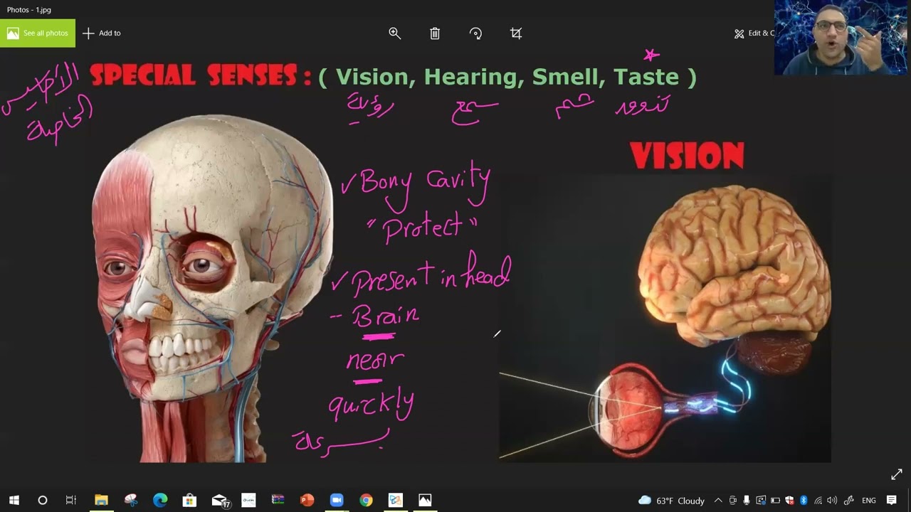 Vision Physiology-1 د/ الشريف
