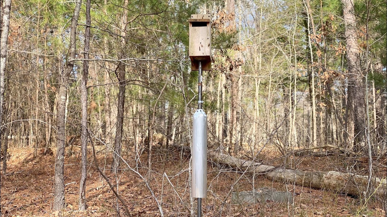 How to properly mount a Kentucky style bluebird nesting box