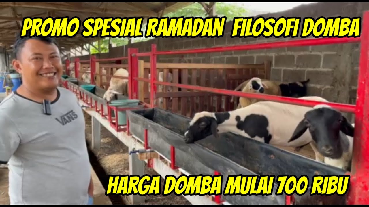 PROMO SPESIAL RAMADHAN HARGA DOMBA MULAI 700 RIBU DI FILOSOFI DOMBA FARM BLITAR