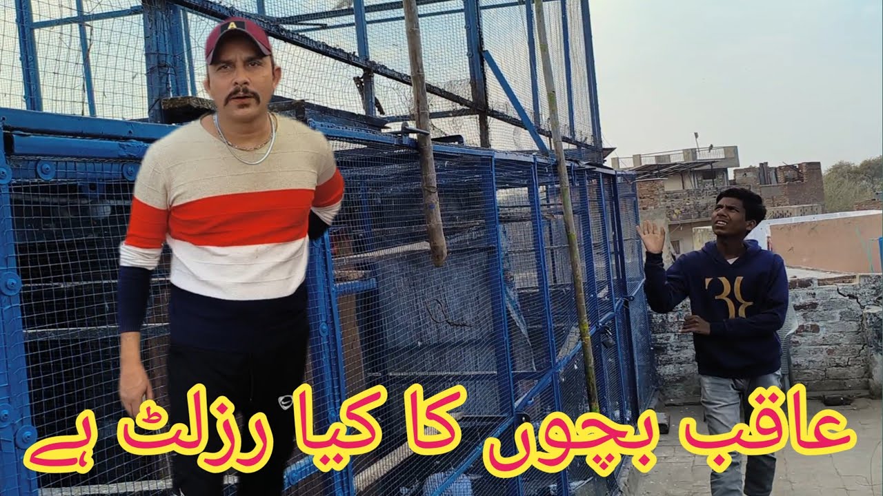 What is the result of your sister's children, she has expelled the same children. 03431456842