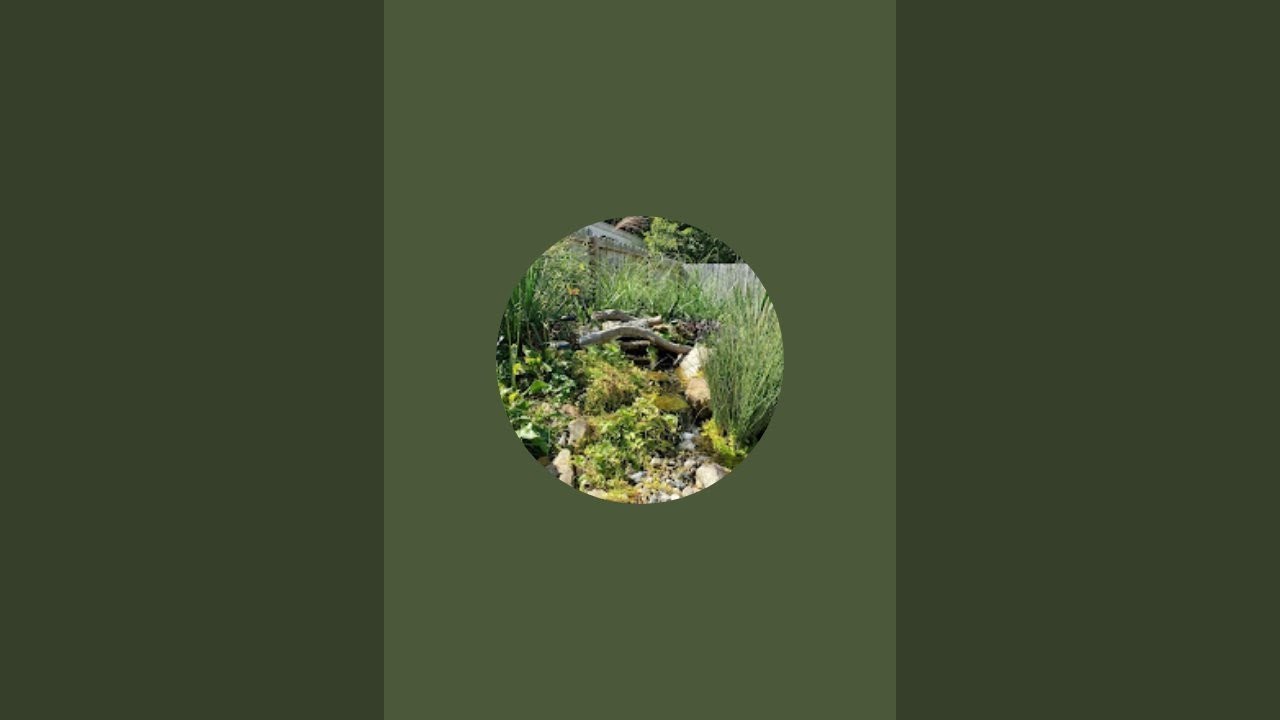 Nature of love 🌱🐢 is live!