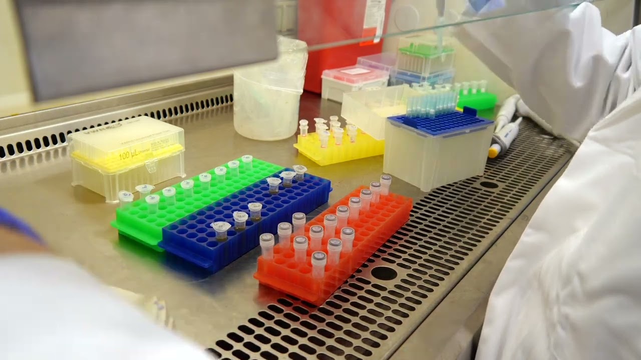 Zymo research Soil and fecal DNA Extraction kits