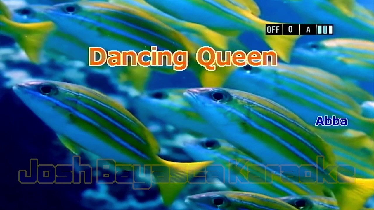 (4191) Dancing Queen by ABBA | Premier-98sd Karaoke