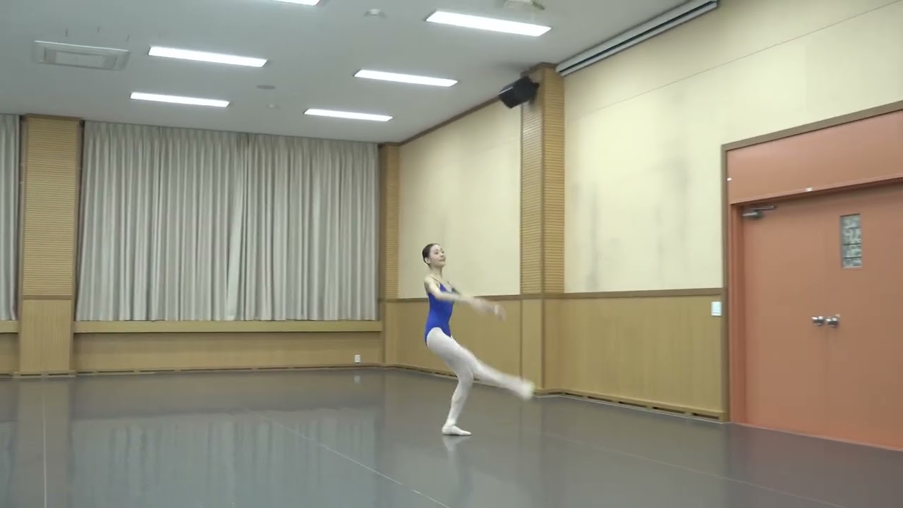 ABT Studio Company Audition Video(10th grade)