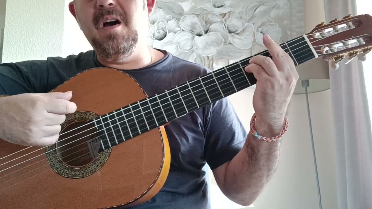 la promesa de Gonzalo Hermida. tutorial de guitarra acordes