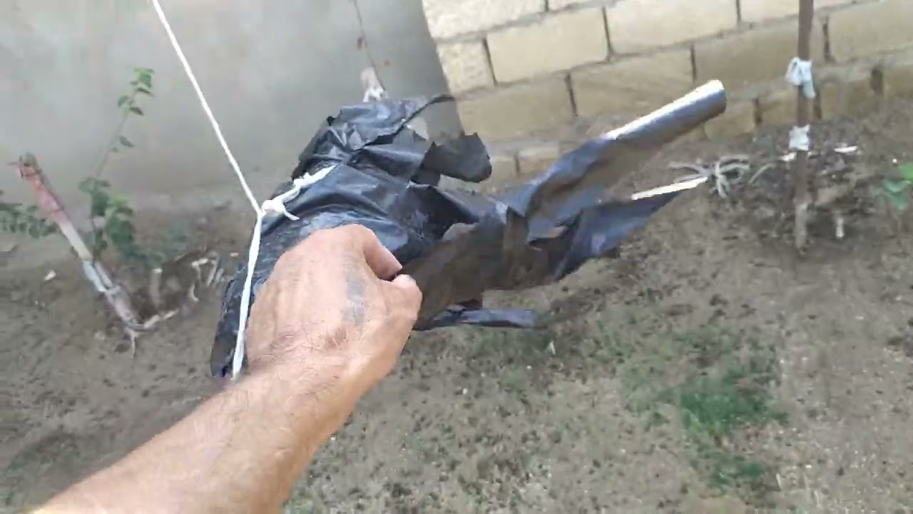 BAĞI QUŞLARDAN QORUYAQ!