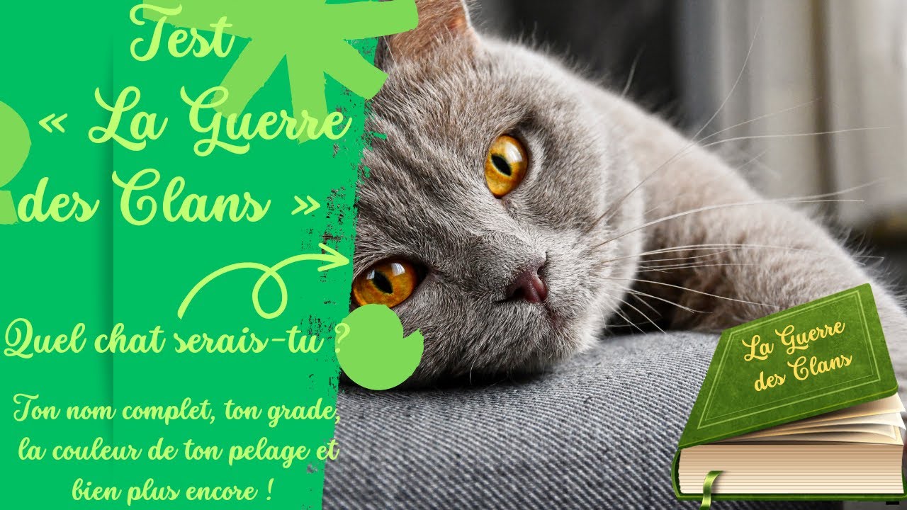 TEST LA GUERRE DES CLANS ! | Ton nom, ton grade et bien + !
