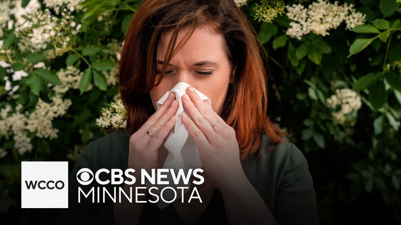 The best remedies for seasonal allergies