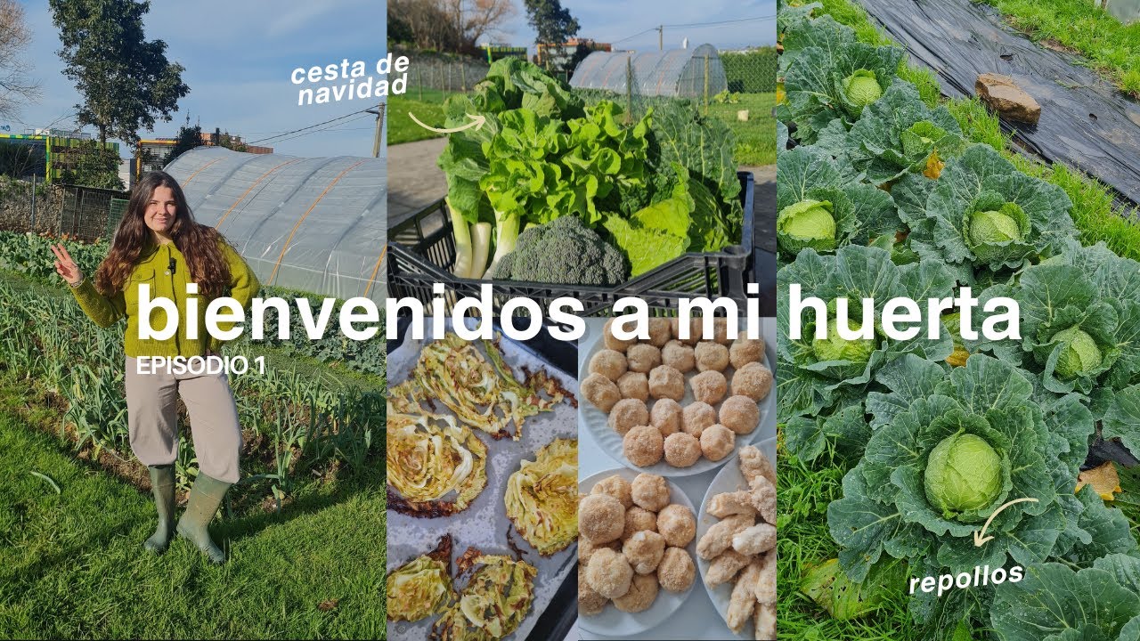 Bienvenidos a mi huerta!!!🫘🫑🧅🍅🍓🍆🥦♥️