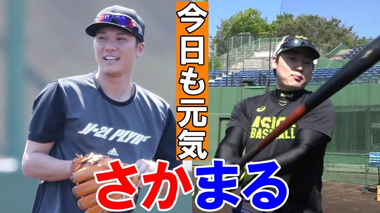 今日も元気な「さかまる」