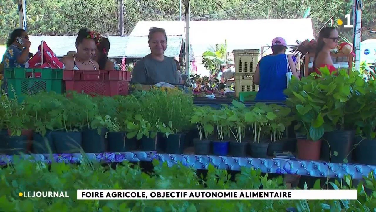 La foire agricole est ouverte : (re)bonjour veaux, vaches et cochons !