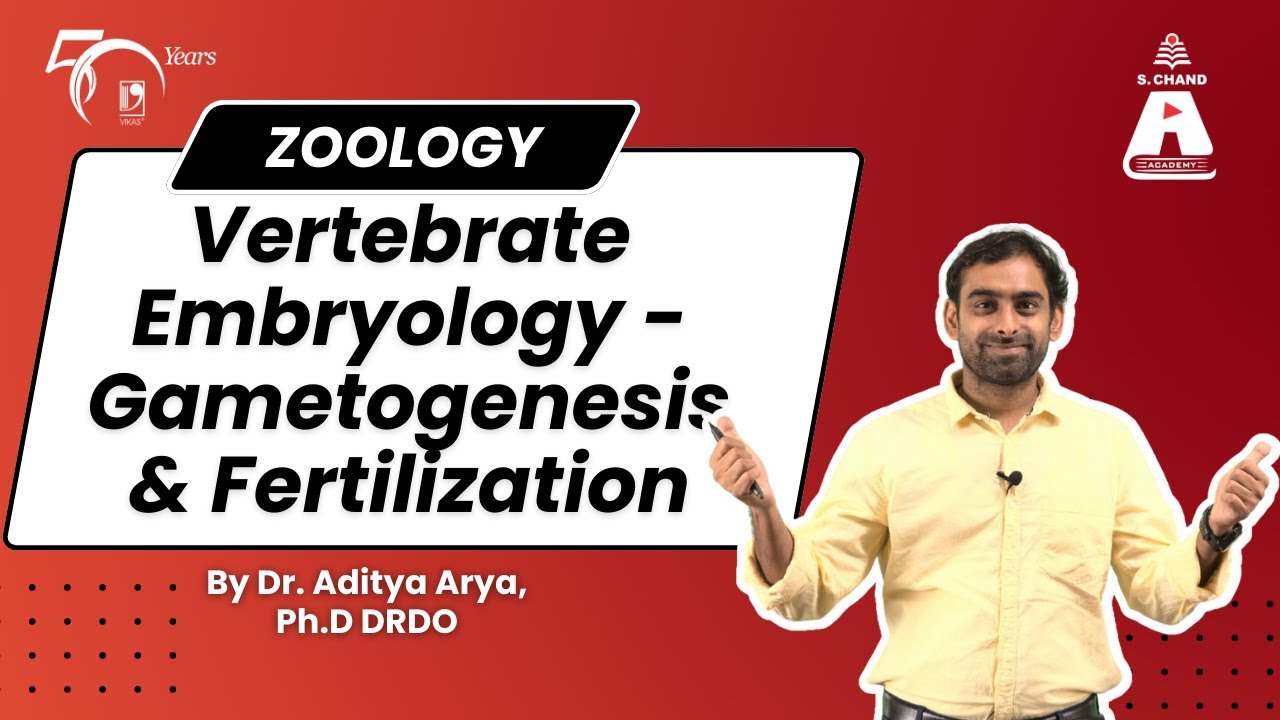 Vertebrate Embryology - Gametogenesis and Fertilization | Zoology | S Chand Academy