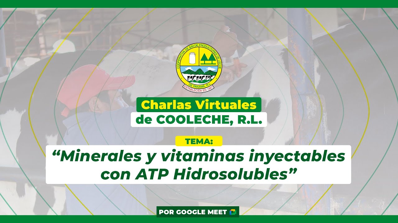 Minerales y vitaminas inyectables con ATP Hidrosolubles