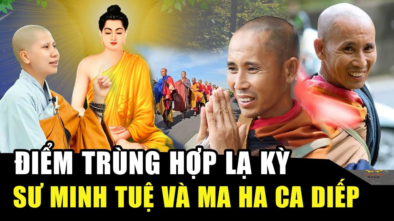Sư cô GIÁC LỆ HIẾU chỉ rõ ĐIỂM TRÙNG HỢP LẠ KỲ giữa SƯ MINH TUỆ và ngài Ma Ha Ca Diếp | Học Phật