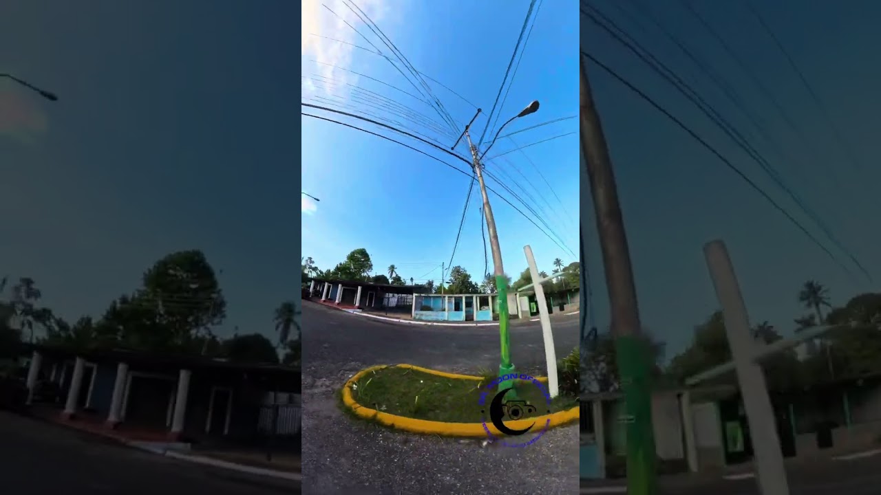 Los Mangos de Caripito