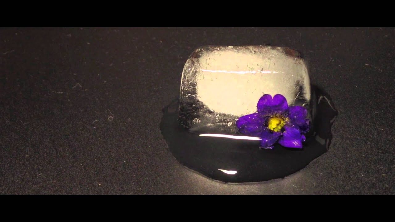 From Flower to Frozen