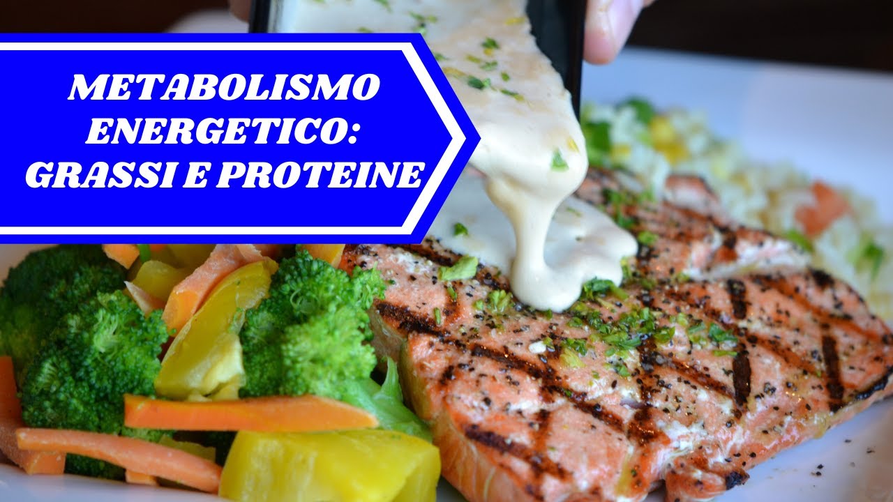 [ITA] METABOLISMO ENERGETICO - GRASSI e PROTEINE: fonti di energia per l'allenamento