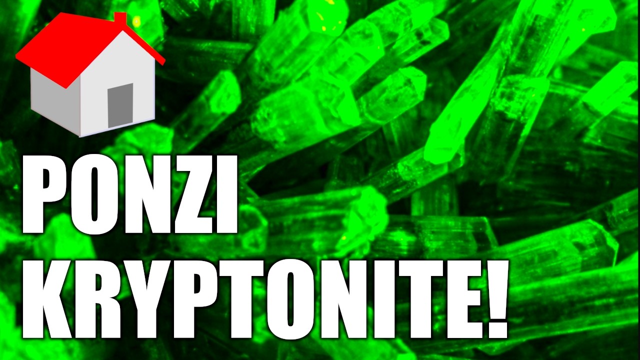 It is time to finish off the NZ Housing Ponzi!