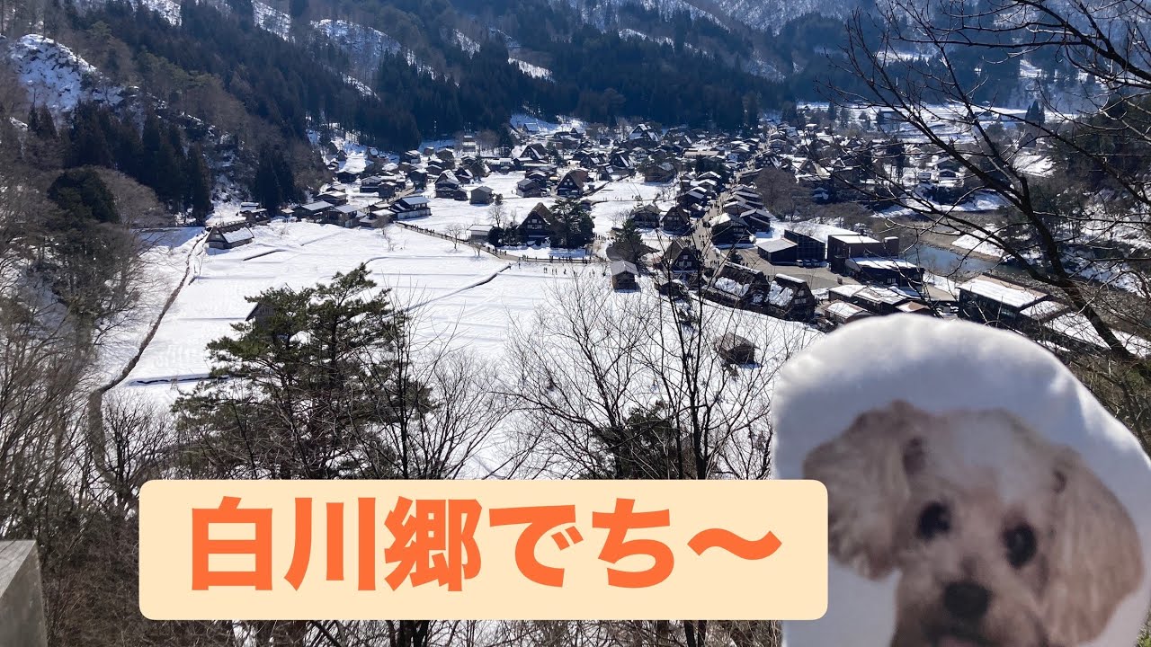 2026/2/22 世界遺産白川郷へ☃️