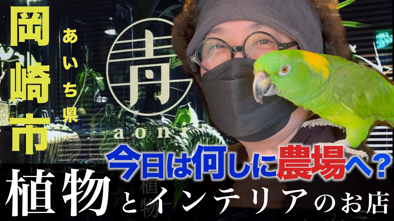 【愛知県岡崎市】観葉植物専門店