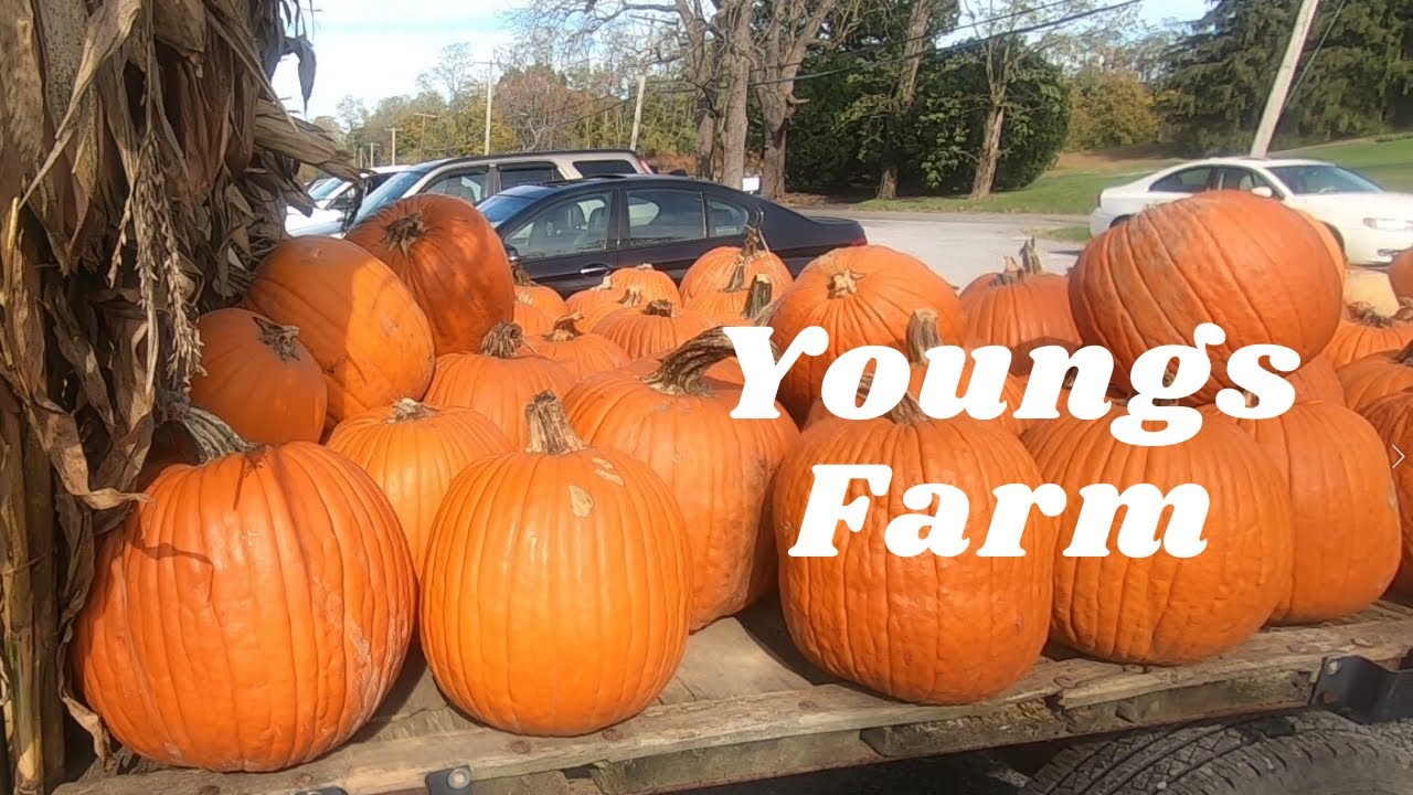 Youngs Farm, Glen Head, NY | Zero Point |