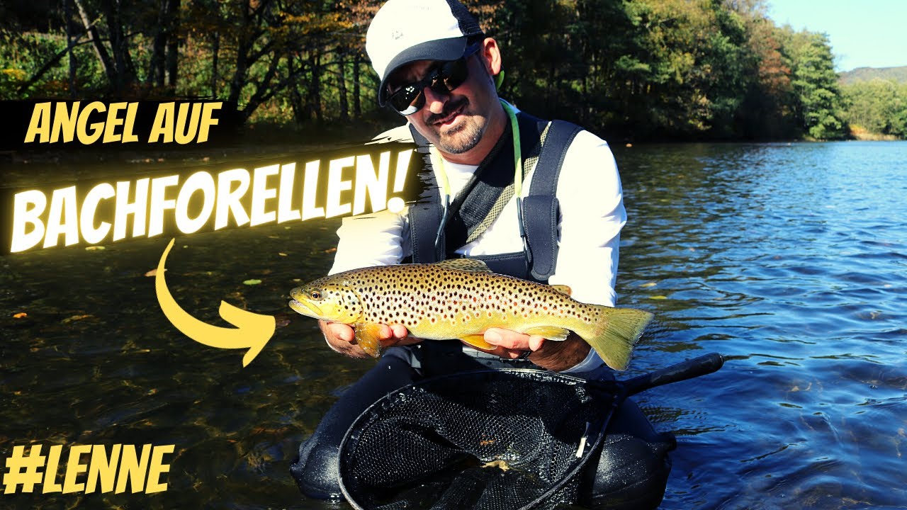 Spinnfischen auf Bachforellen an der Lenne mit Livebiss Angelguiding-cs.de