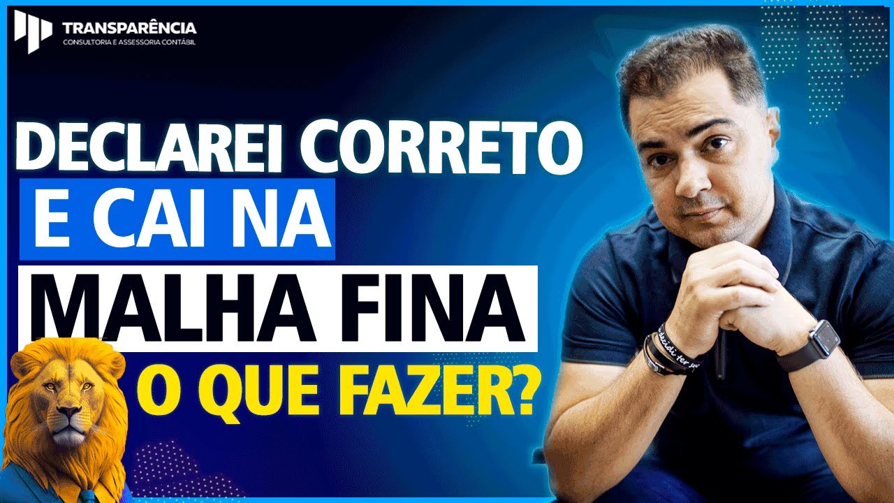 DECLAREI CORRETO E CAI NA MALHA, O QUE FAZER? [2025]