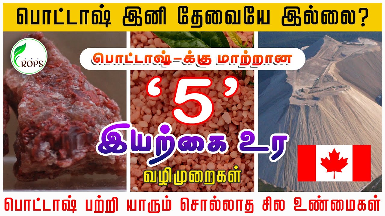 பொட்டாஷ்க்கு மாற்றான 5 இயற்கை உரங்கள் | பொட்டாசியம் & பொட்டஷ் வேறுபாடு என்ன?| Alternative For POTASH