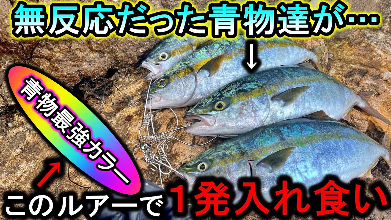 青物に効果抜群…何を投げても無反応な日にこのカラーを投げると途端に魚が狂いました