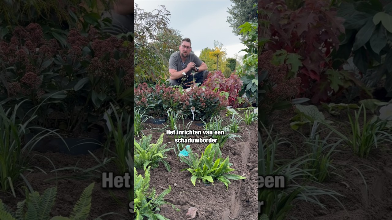《DIY SCHADUWBORDER》 #tuin #planten #tuinidee&euml;n #tuininspiratie #schaduwbeplanting #fatsiajaponica