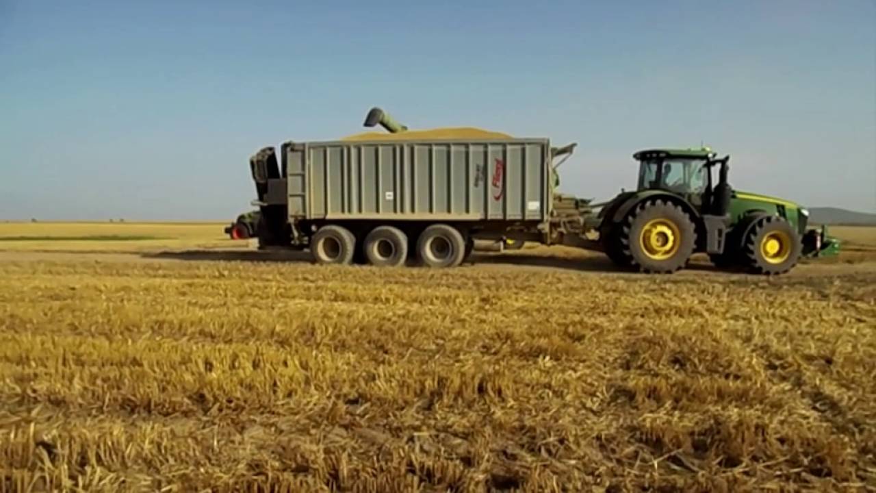 Big Team Summer Harvest (Boly MG Zrt.,Bojrád MG Zrt.