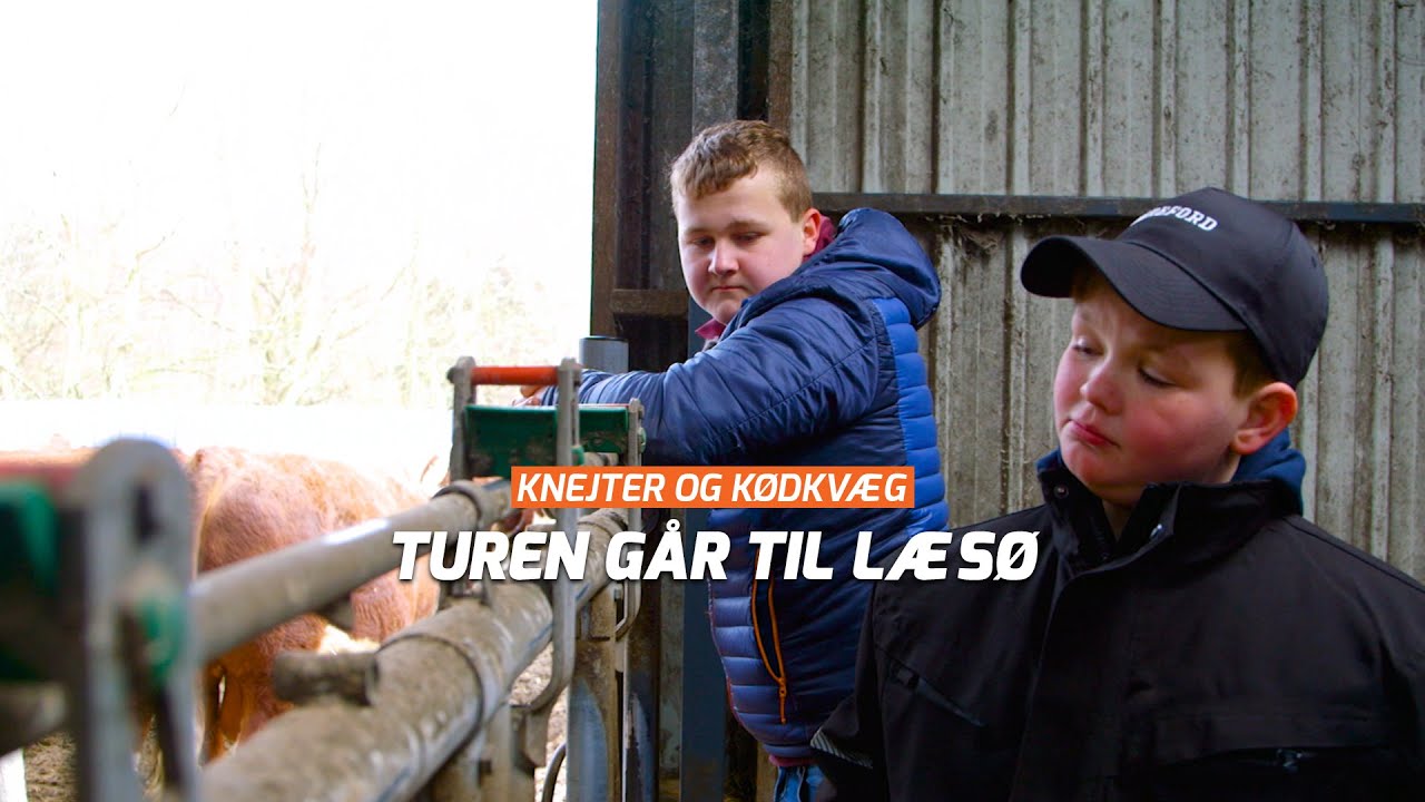 Maskiner eller kvæg? | Knejter og Kødkvæg (S2:E4)