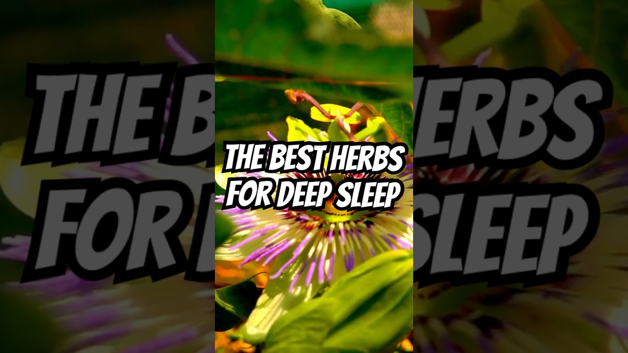 The BEST Herbs for Deep Sleep #healthtips #bettersleep #herbalremedies #wellness #sleepbetter #sleep