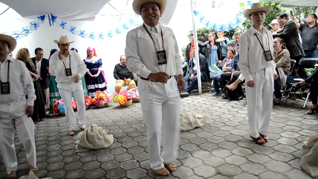 El Carbonero   Wryaquito