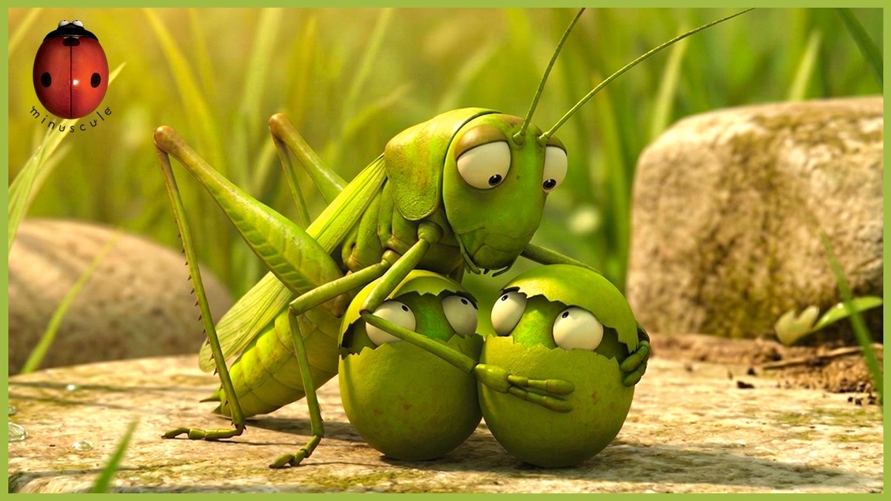 The Grasshopper Who Didn't Know How To Leap | Minuscule | 20' Compilation