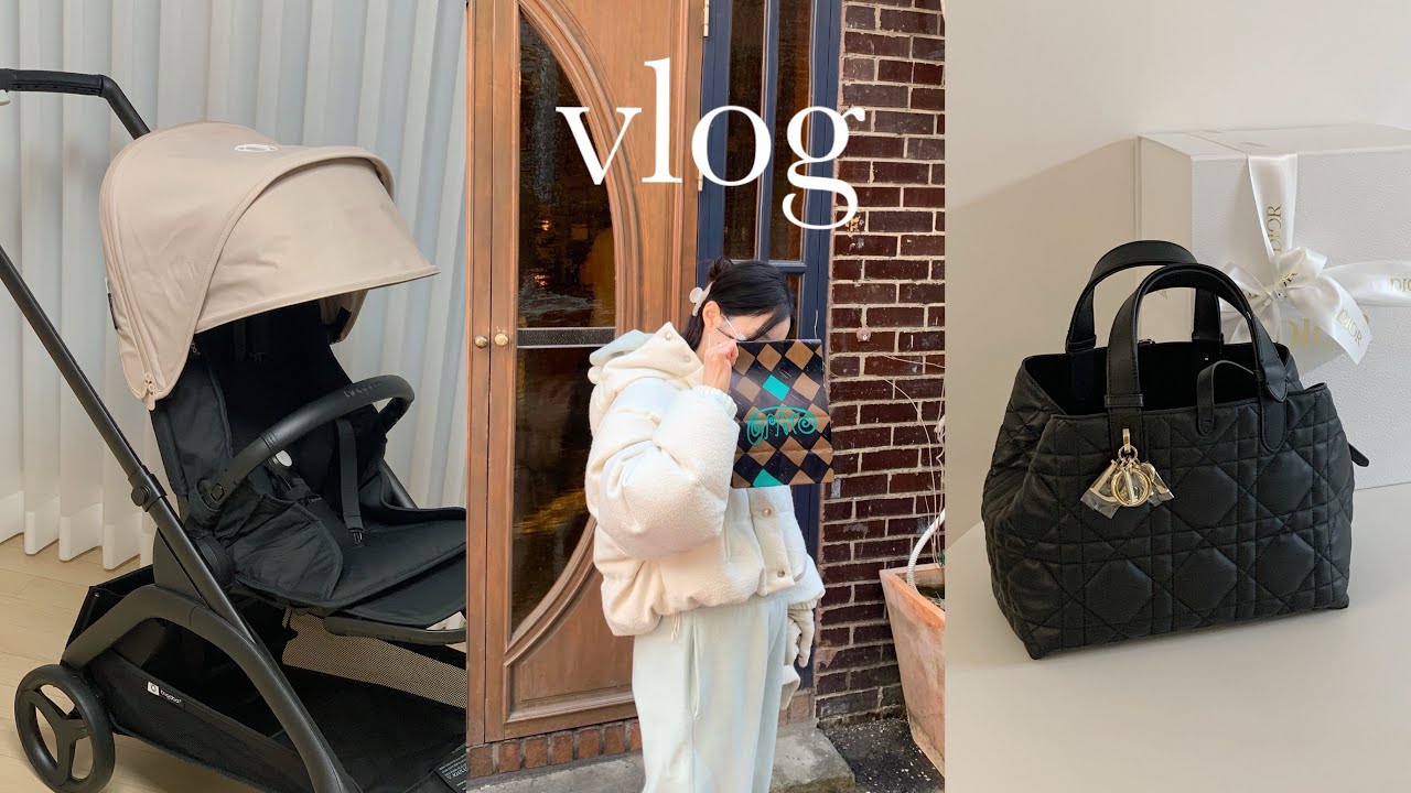 vlog 이모저모 일상ㅣ디올 뚜주흐백 미듐 언박싱, 부가부 드래곤플라이, 임신 후기, 앙꼬 입체초음파, 허그매트 돌봄매트 비교, 해방촌 오파토