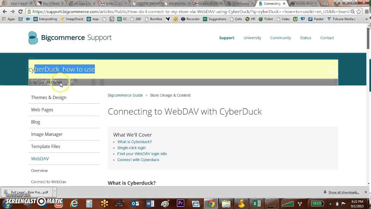 How to mass import products, including images, to Big Commerce using Cyber Duck