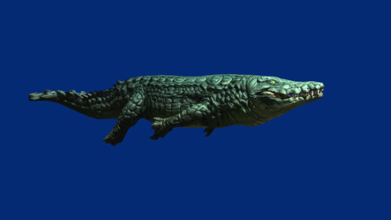 Prehistoric Crocodile Nile Blue Screen VFX_ Vai lok_666