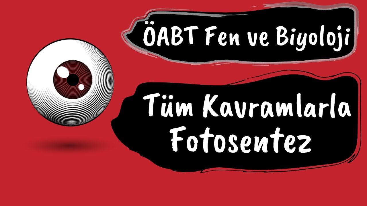 Devirli ve Devirsiz Fotofosforilasyon , Calvin Döngüsü , ETS (ÖABT Kısa Bilgiler)